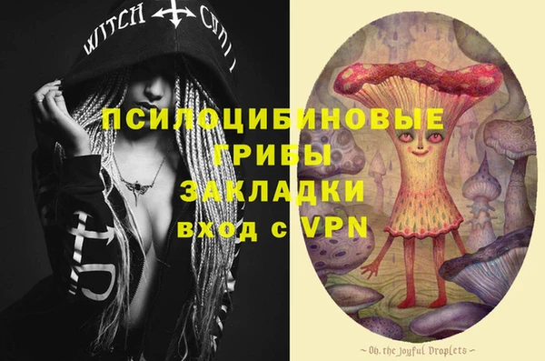 a pvp Алексеевка